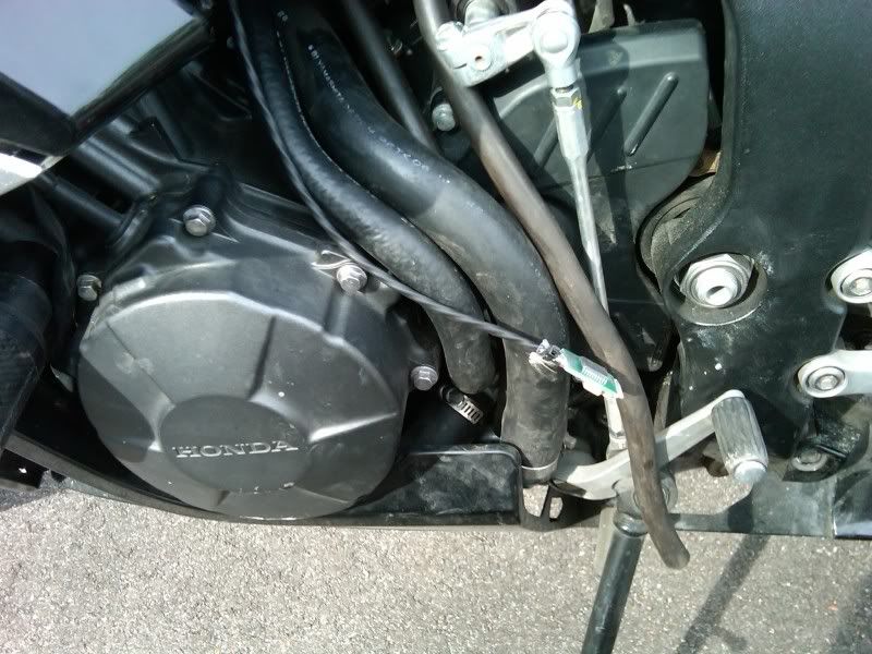 SpeenoDRD PLUG N PLAY SPEEDO HEALER DIY INSTALL Honda CBR 600RR Forum